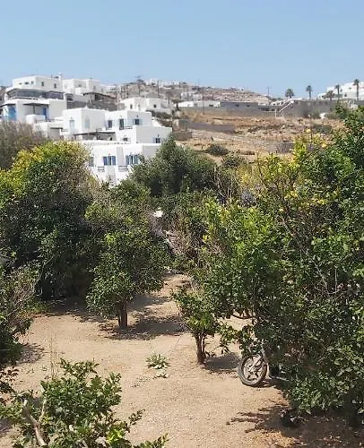 度假居 Demis Mykonos 2 *